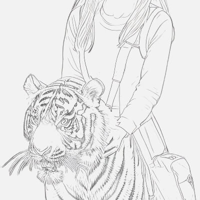 Sketch of a Girl Riding a Majestic Tiger - Stock Image by Lineora-sketch