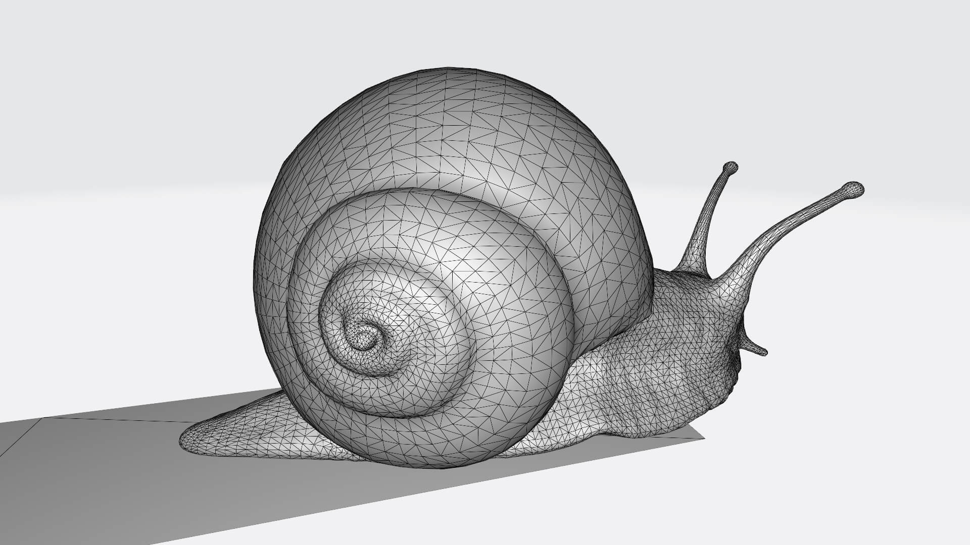 Sluggish Snail - 3D Model by LisaHenniga