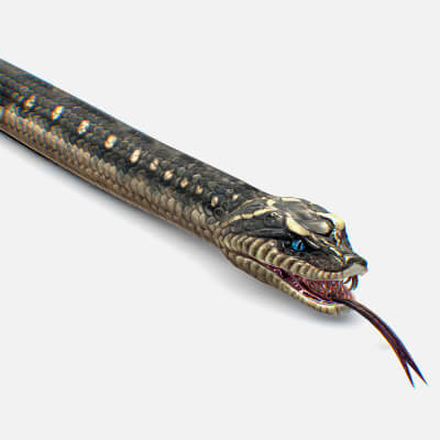 Anaconda Gray Snake Python King Cobra Monster - 3D Model by LiveBook3D
