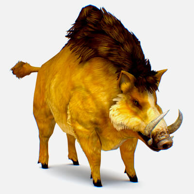 Boar Wild Pig Yellow Animal Bushpig Mammal - 3D Model by LiveBook3D