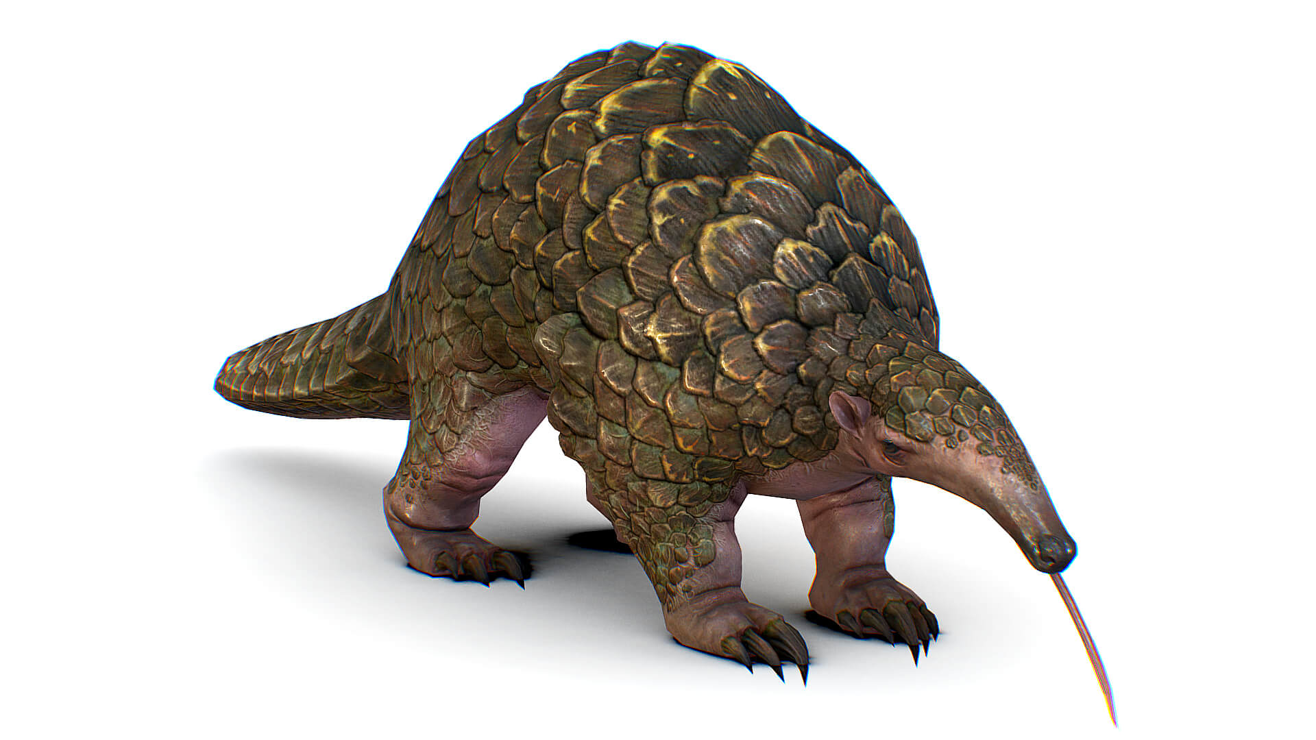Pyndolin Rows Pangolin Ground Wild Giant Animal Smutsia - 3D Model by LiveBook3D