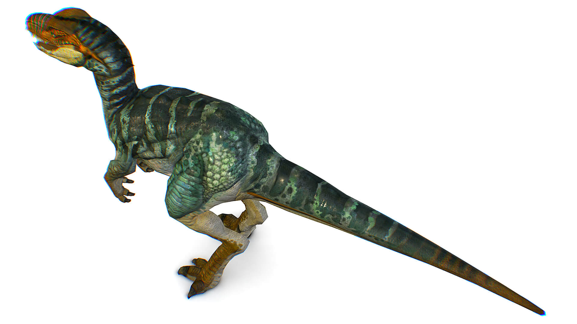 Tex Raptor Tyrannosaurus Raptor Dinosaur T-Rex Rex Monster 3D Model by LiveBook3D