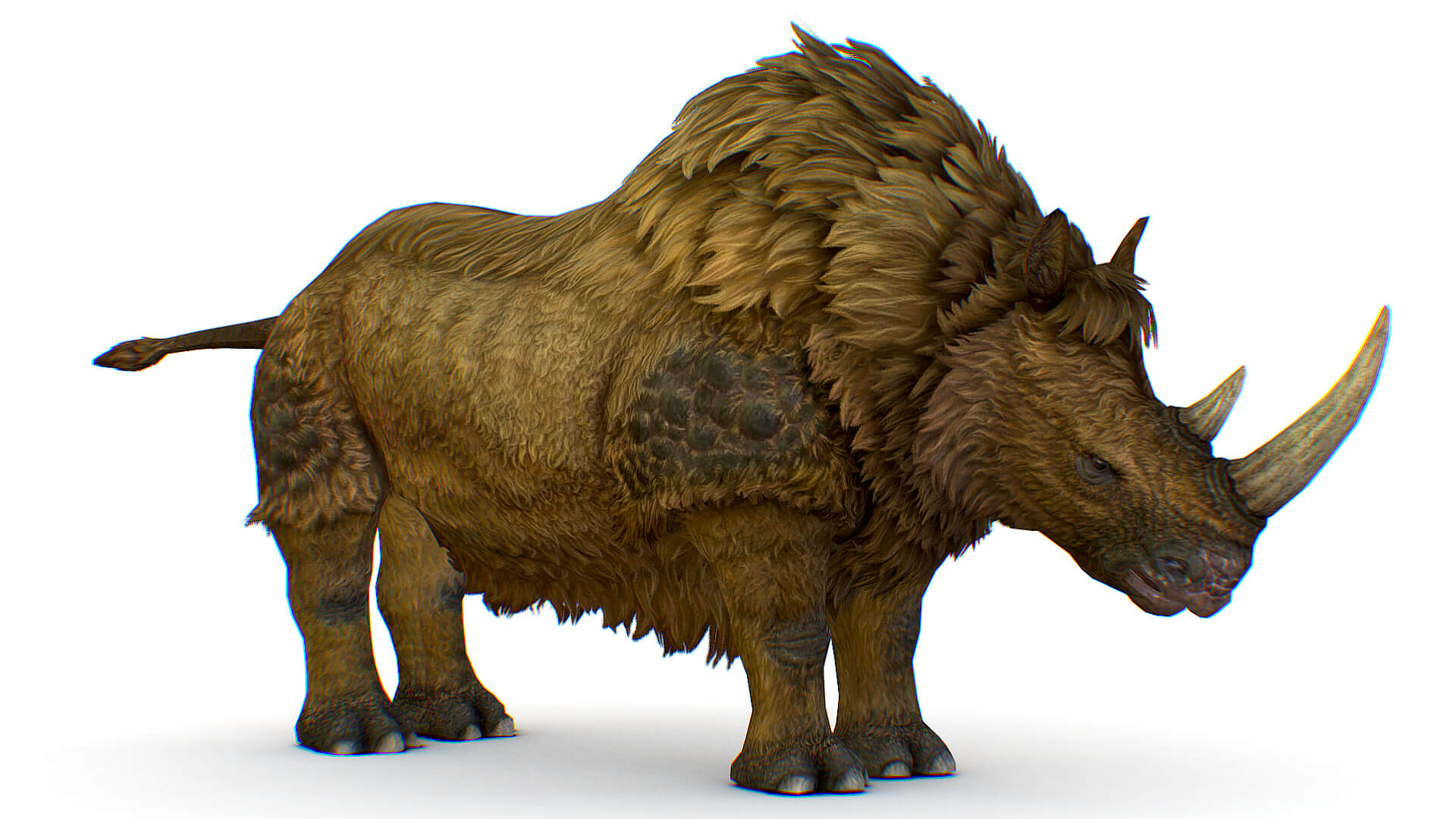 Woolly Rhino Rhinoceros Wild Old Animal - 3D Model by LiveBook3D