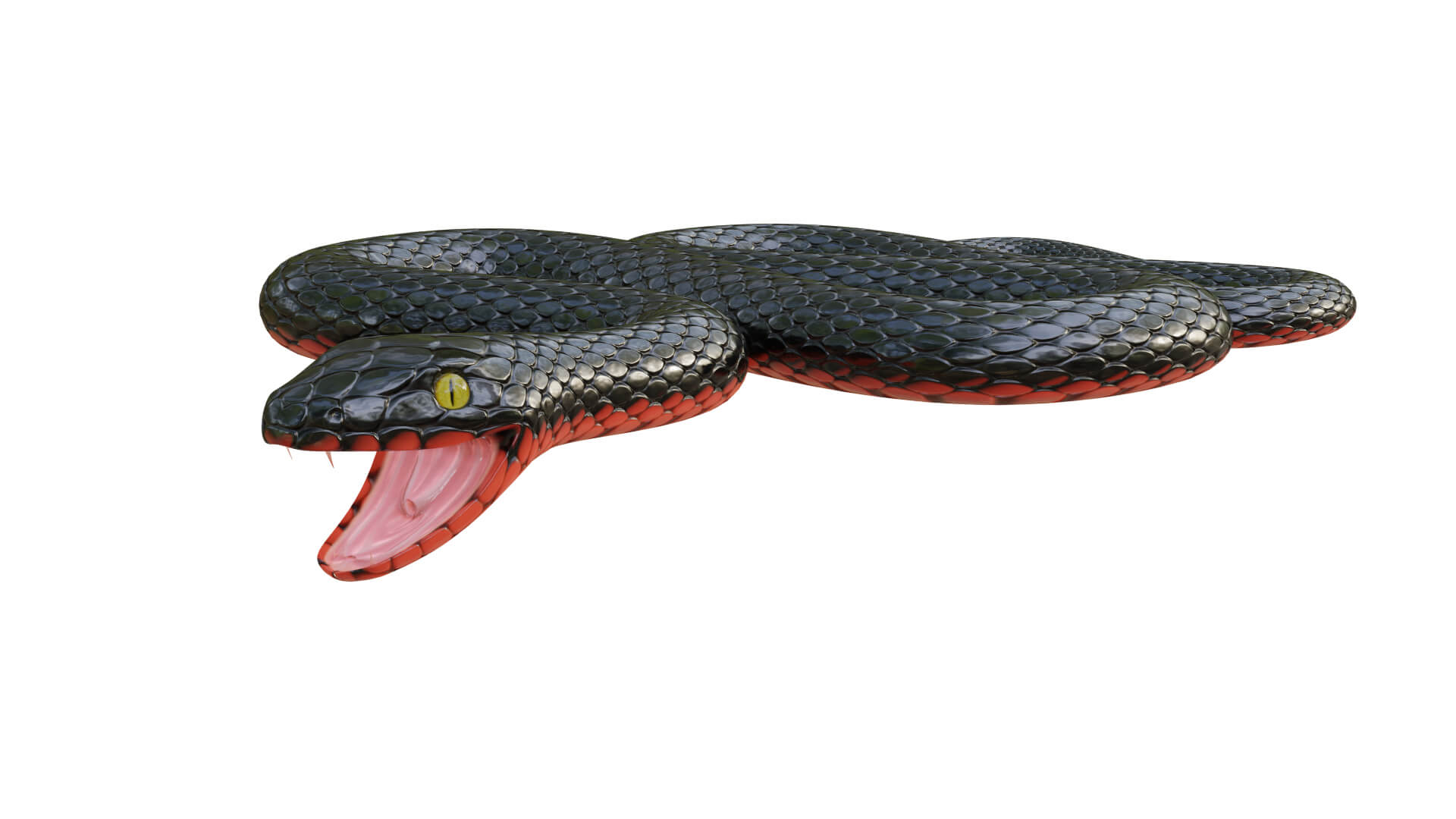 Snake Procedural - 3D Model by ludmi