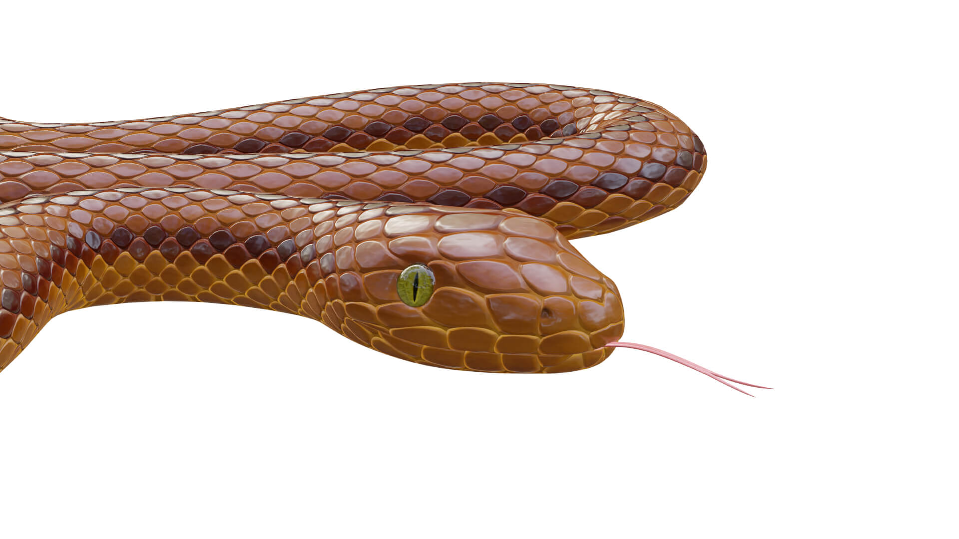Snake Procedural - 3D Model by ludmi