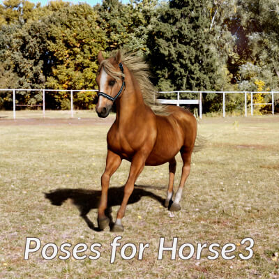 Active Poses for Horse3