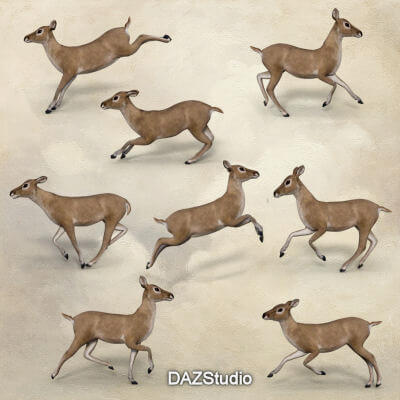Running Poses for AMV_Fawn