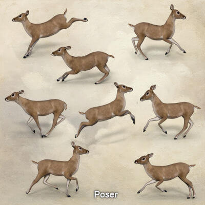 Running Poses for AMV_Fawn - Poser