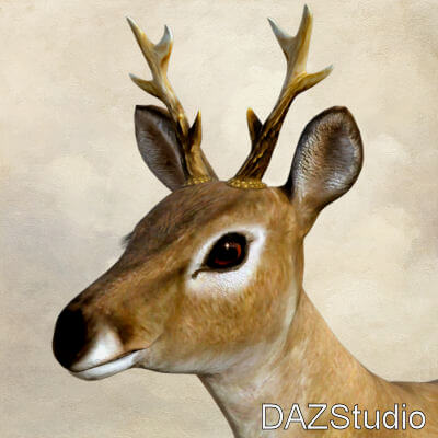 Buck Antlers for AMV_Fawn by Luna_s20