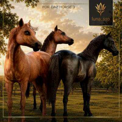 Polish Horses Malopolski For DH3
