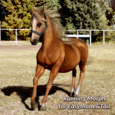 Running Morph for Easymane&ampTail