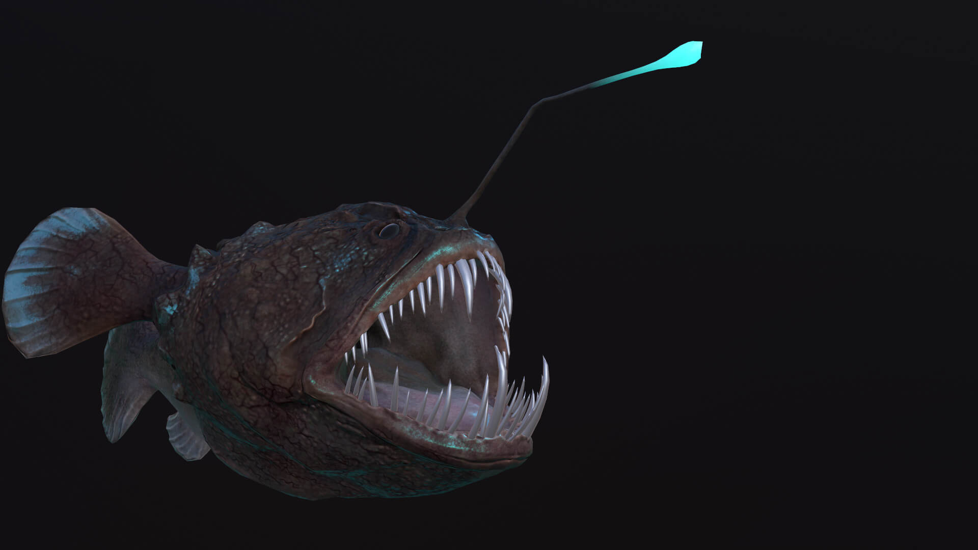 Angler Fish 3D Model by MadeCG
