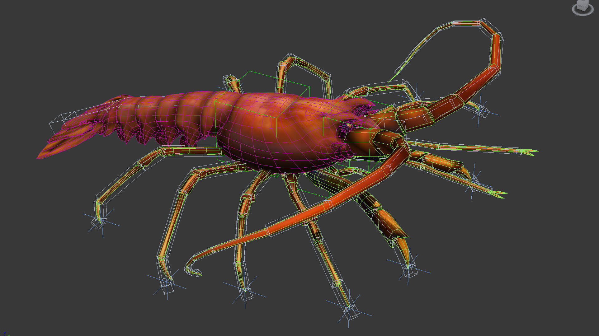 Lobster 3D Model by MadeCG