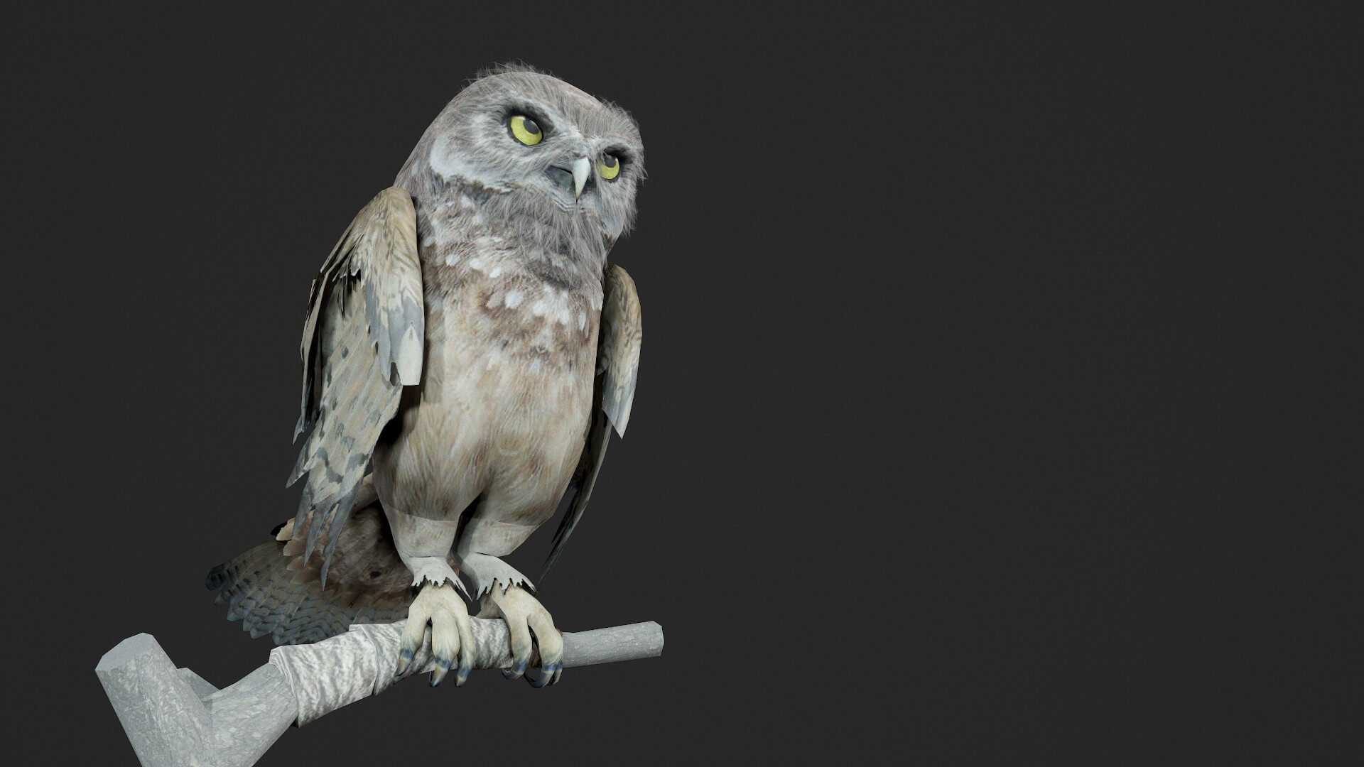 Owl - 3D Model by MadeCG
