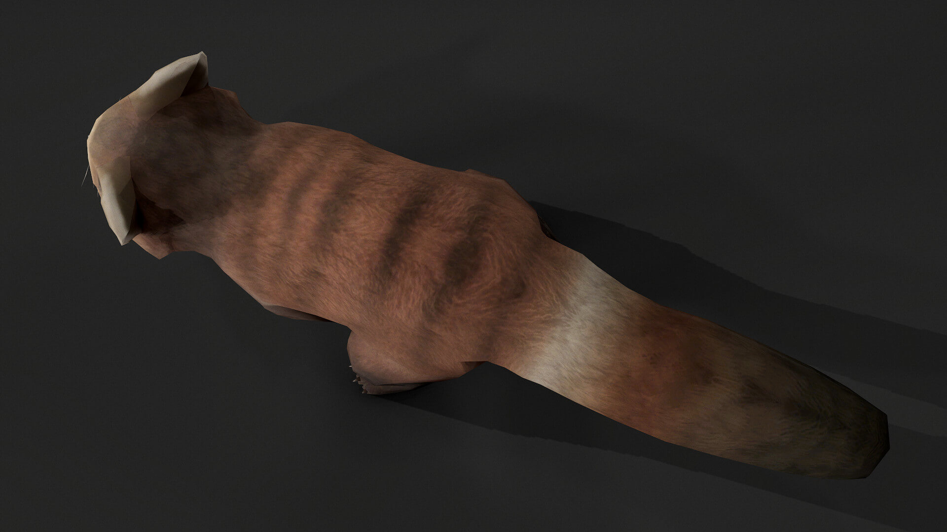 Red Panda - 3D Model by MadeCG