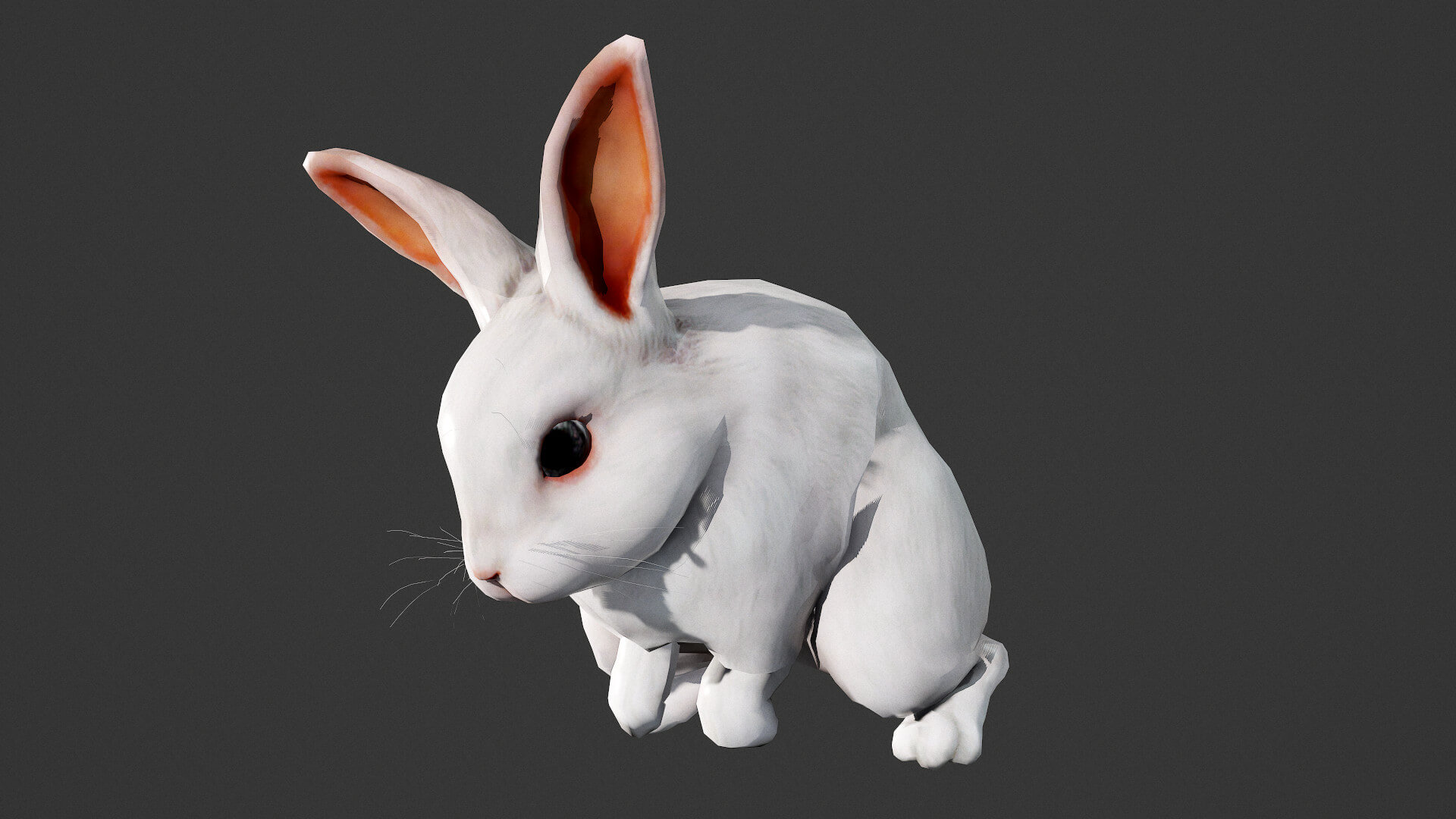 White Rabbit 3D Model by MadeCG