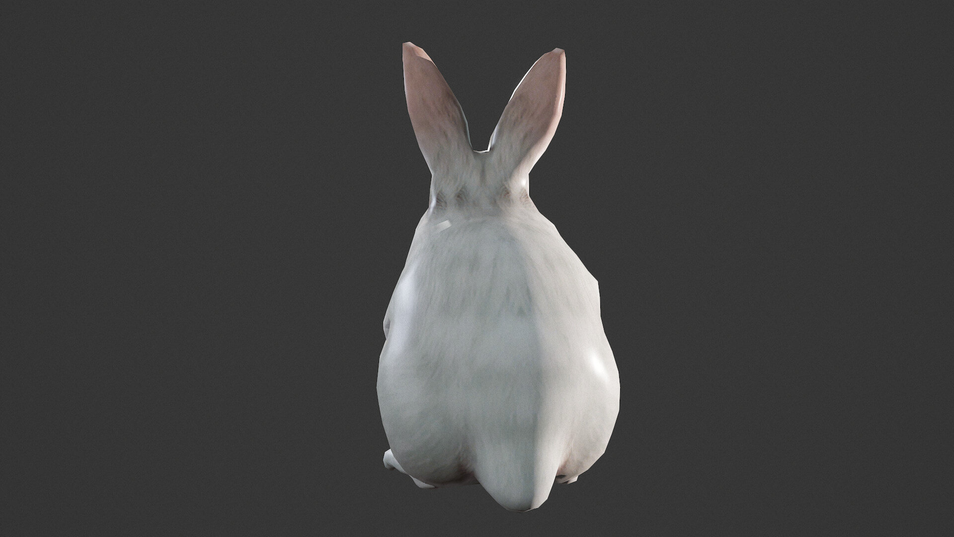Modelpiring Rabbit White Rabbit - 3D Model by MadeCG