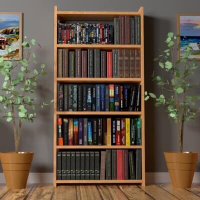 Interior Bookcase