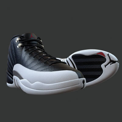Air Jordan 12 Retro Sneaker PBR Model 1