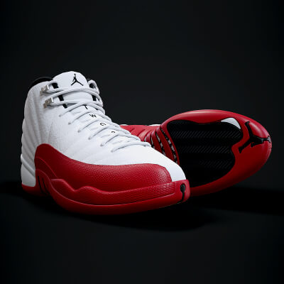 Air Jordan 12-Retro Sneaker PBR Model 5