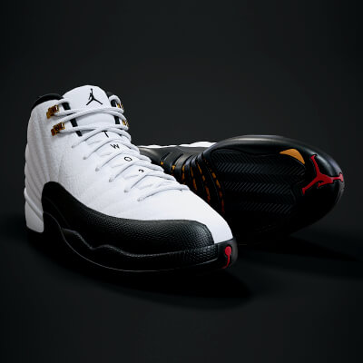 Air Jordan 12-Retro Sneaker PBR Model 6