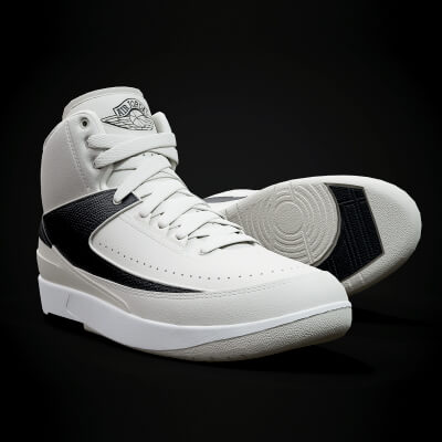 Air Jordan 2 Retro Sneaker PBR Model 5