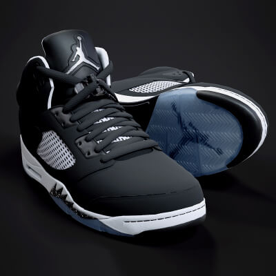 Air Jordan 5-Retro Sneaker PBR Model 2