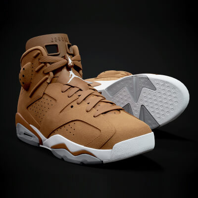 Air Jordan 6-Retro Sneaker PBR Model 5