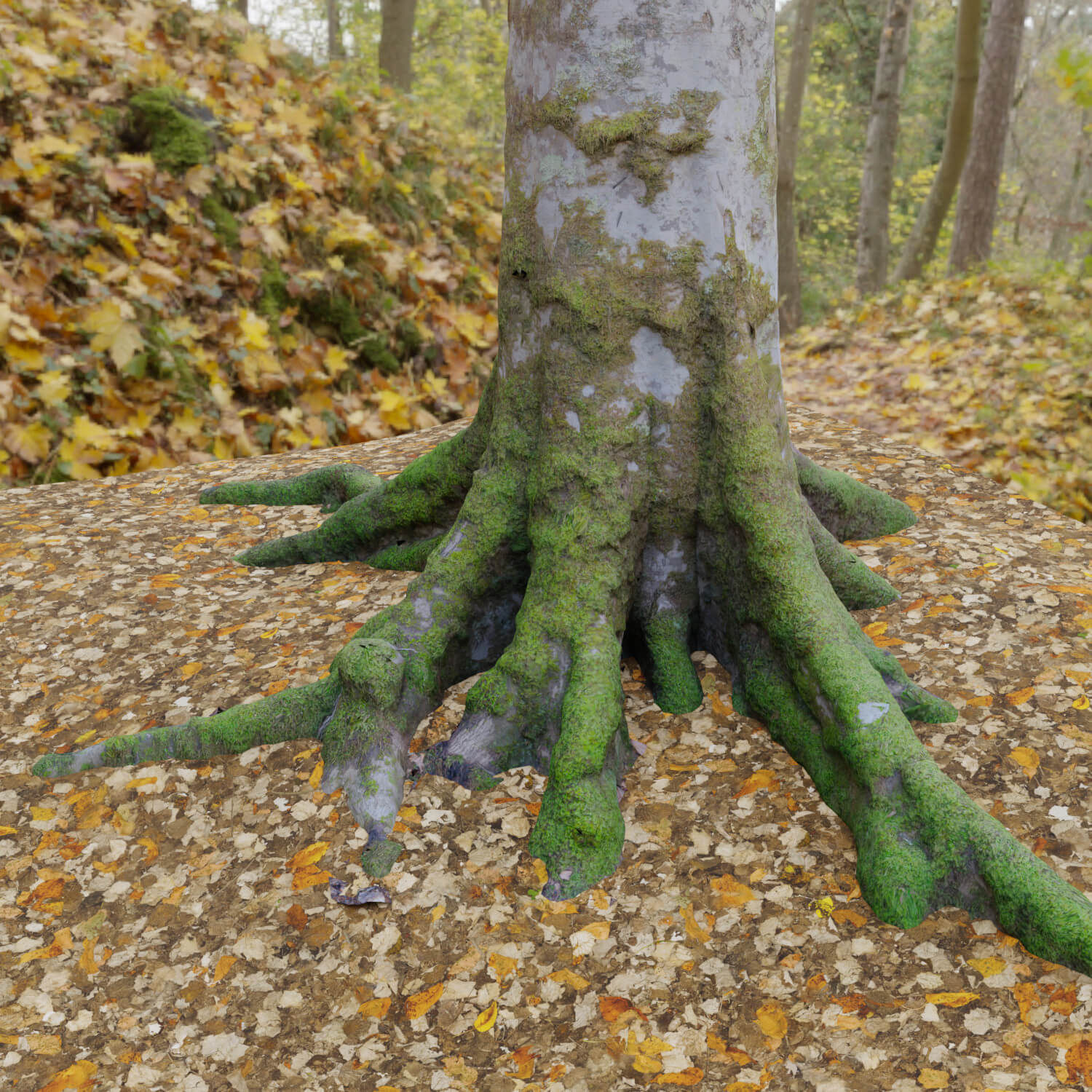 Mossy Tree Trunk Free 3D Model by Martin_Waters