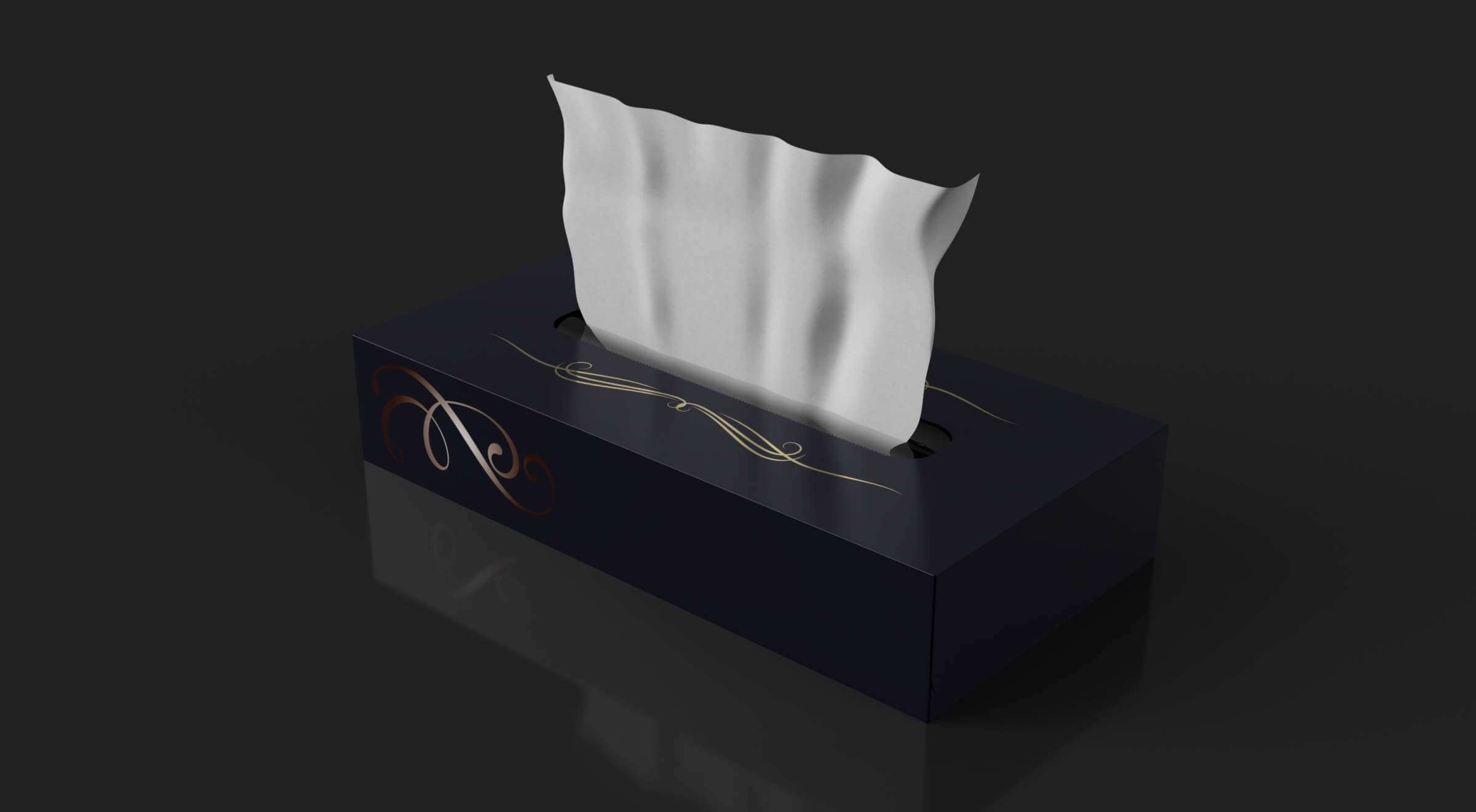 Tissue Box 3D Model by Matrix966