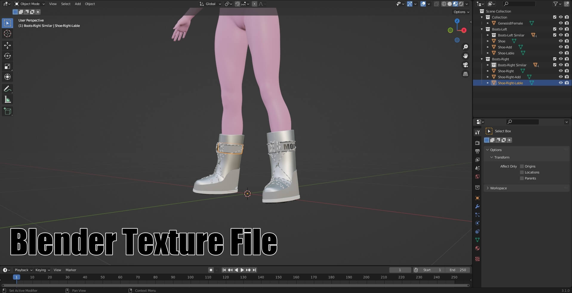 Moon Boots (Blender+OBJ+FBX) - 3D Model by mbit