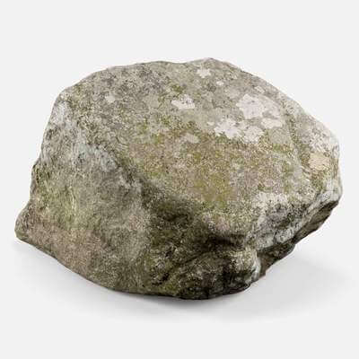 Maine Rock - 8K Scan