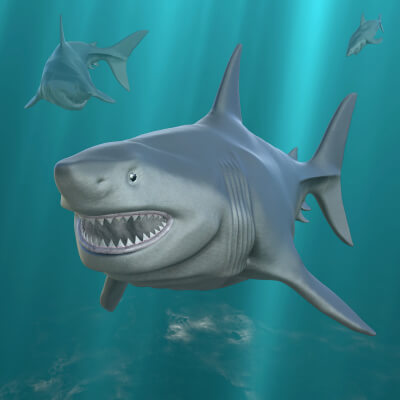 Midnight Megalodon