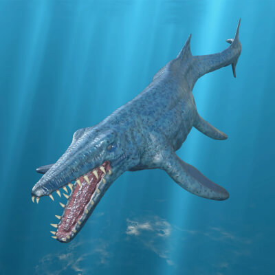 Midnight Mosasaurus