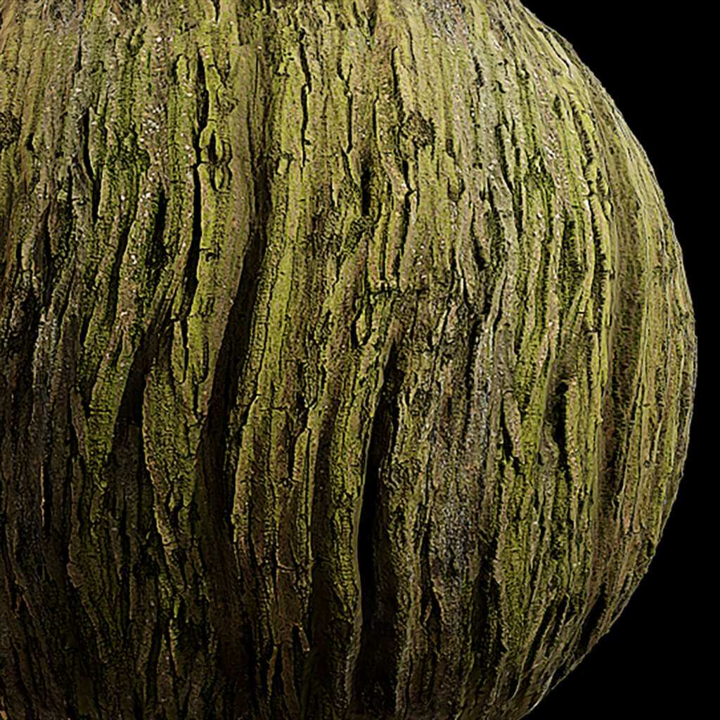 Bark Seamless Texture 2K (2048*2048) - EXR 5 - JPG 5 by model789