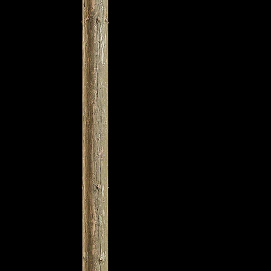 Branch Seamless Texture 2K (2048*2048) - EXR 5 - JPG 5 by model789