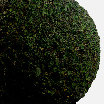 10 Seamless PBR Grass Textures - Free 3D Texture by SeTa