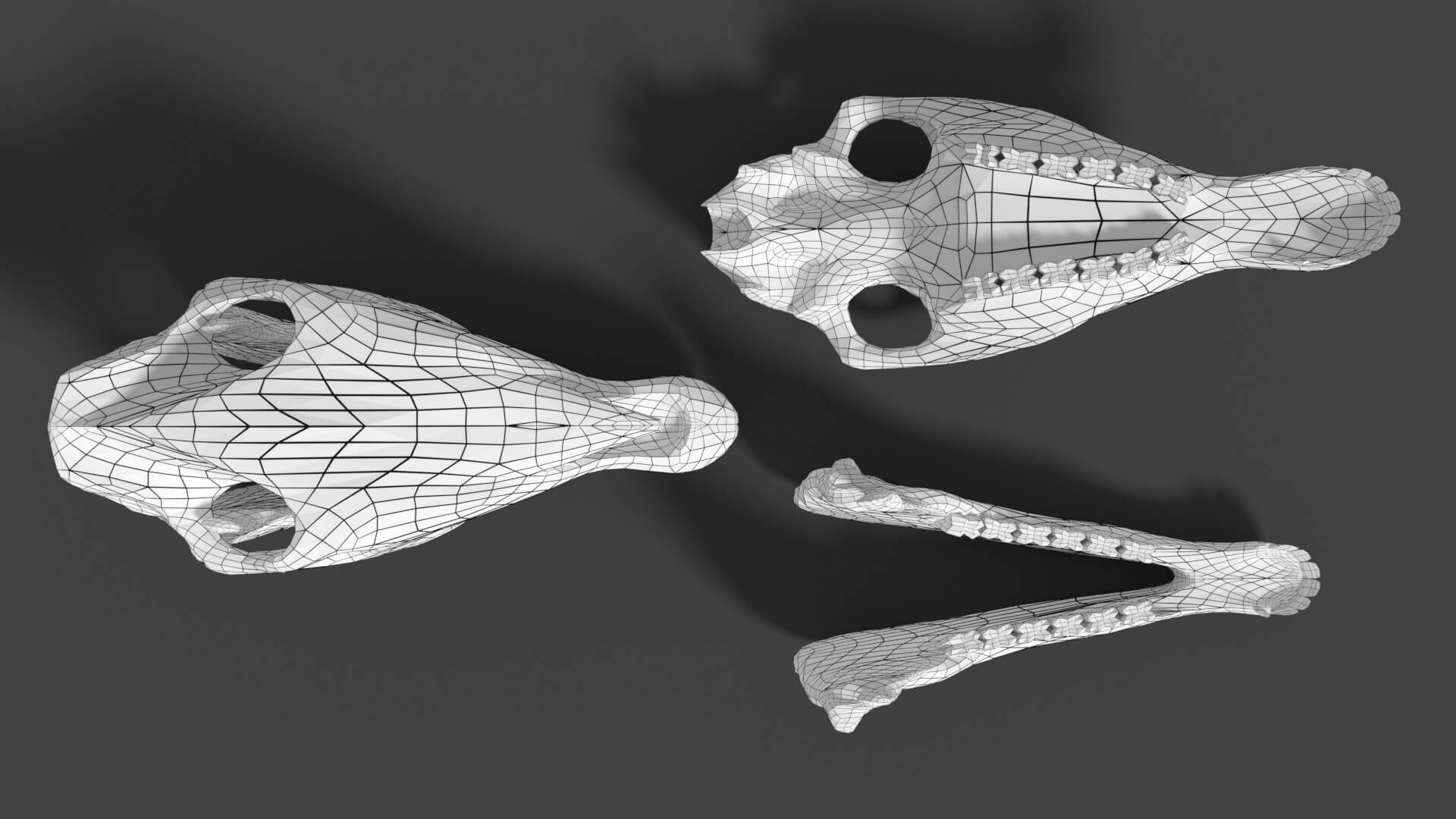 Horse Skull 3D Model by mrdx