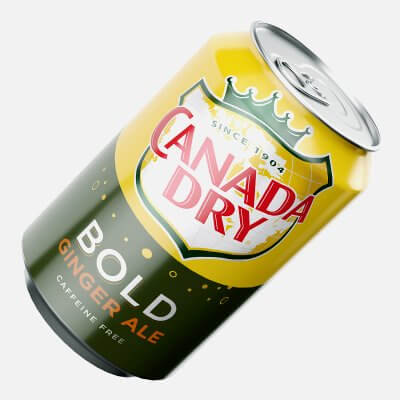 Canada Dry Bold Ginger Ale Can 330ml