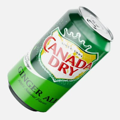 Canada Dry Can 375ml