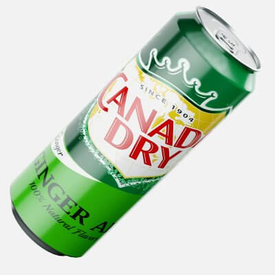 Canada Dry Can 568ml