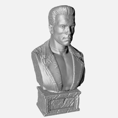 Arnold Schwarzenegger. Bust
