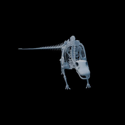 Brotosaur Bones Animated