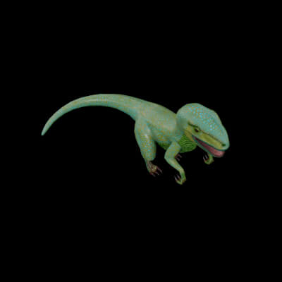 Velociraptor Animated Low Poly