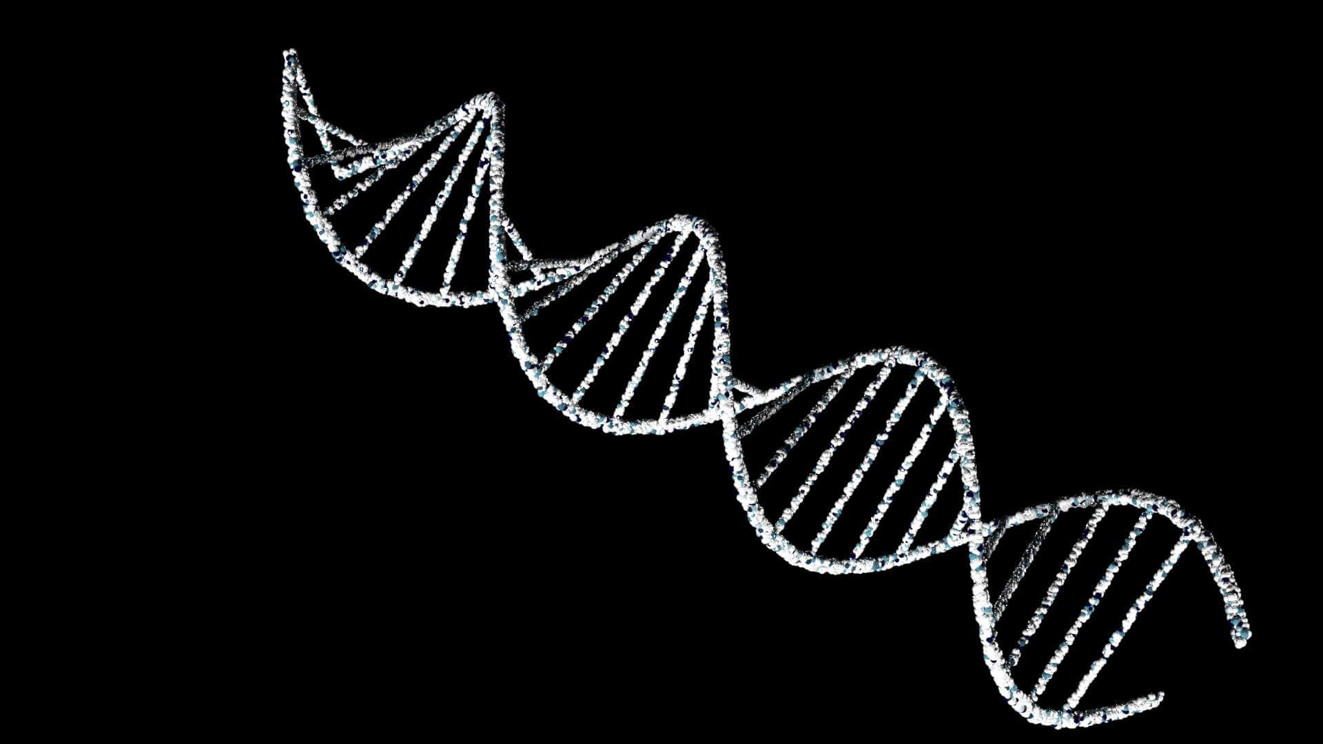 dna 3d model