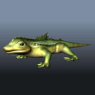 Lizard