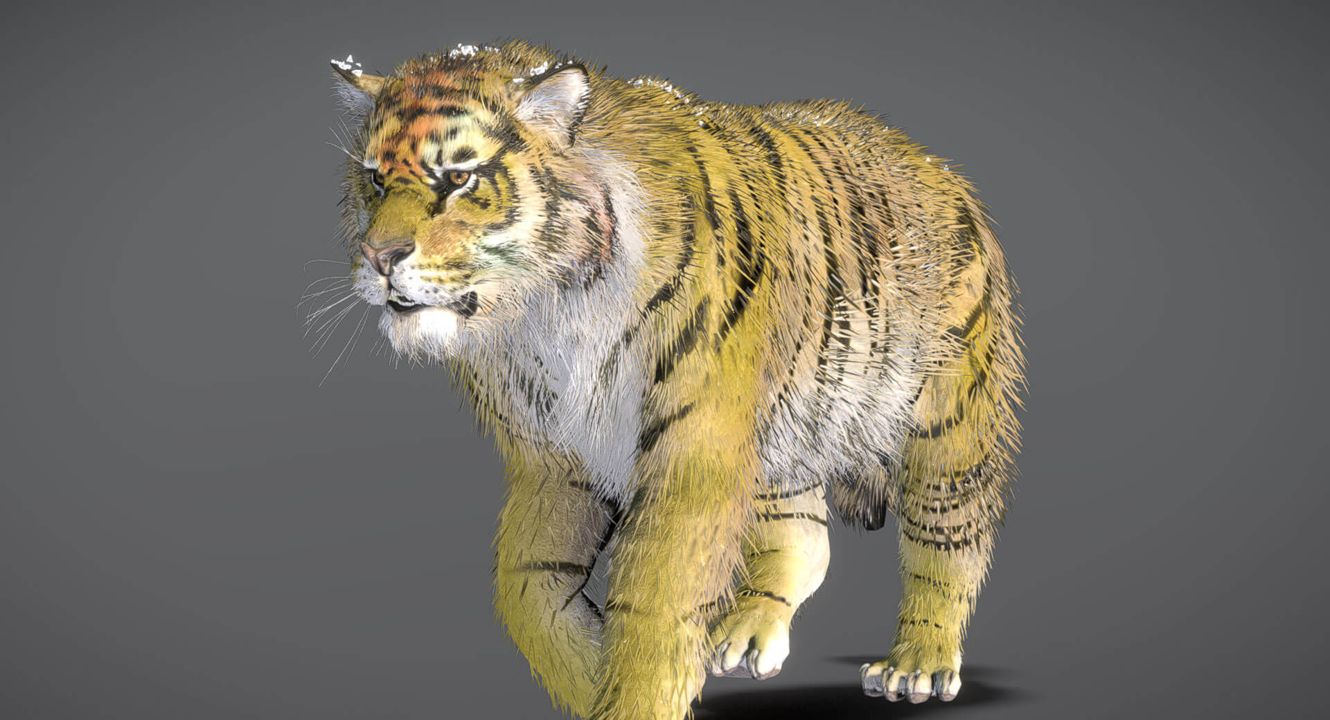 desire fx 3d models | tiger python – 3d model Images... Siberian Tiger 3D Model by Nestaeric