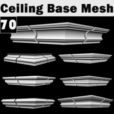70 Ceiling Base Mesh