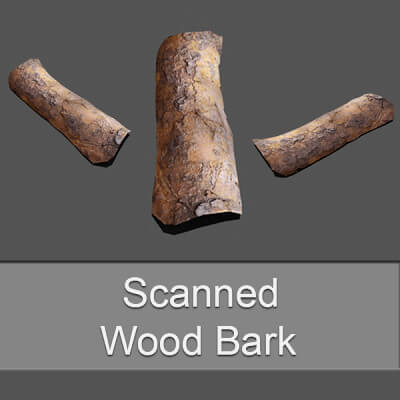 Wood Bark