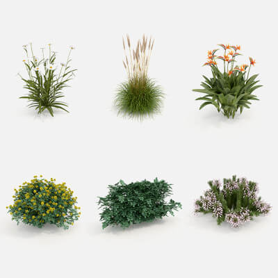 Realistic Shrub Bush Set 4